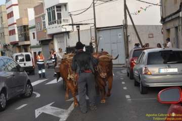 Romerías del Carmen en Marpequeña, Medianía y Las Huesas (Foto TF y TA)